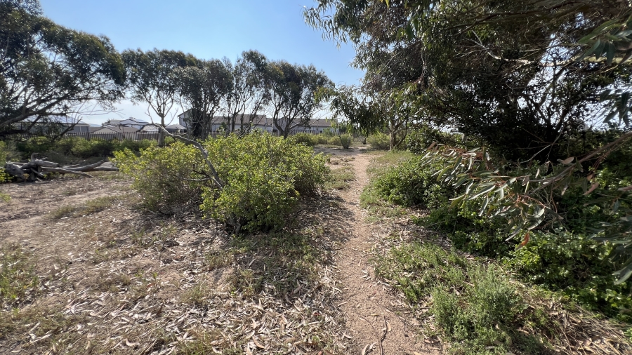 0 Bedroom Property for Sale in Langebaan Country Estate Western Cape